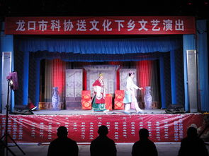 市科協組織開展文化下鄉文藝演出與交流活動，助力鄉村文化振興